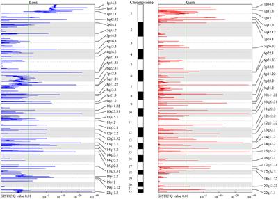 High Copy-Number Variation Burdens in Cranial Meningiomas From Patients With Diverse Clinical Phenotypes Characterized by Hot Genomic Structure Changes